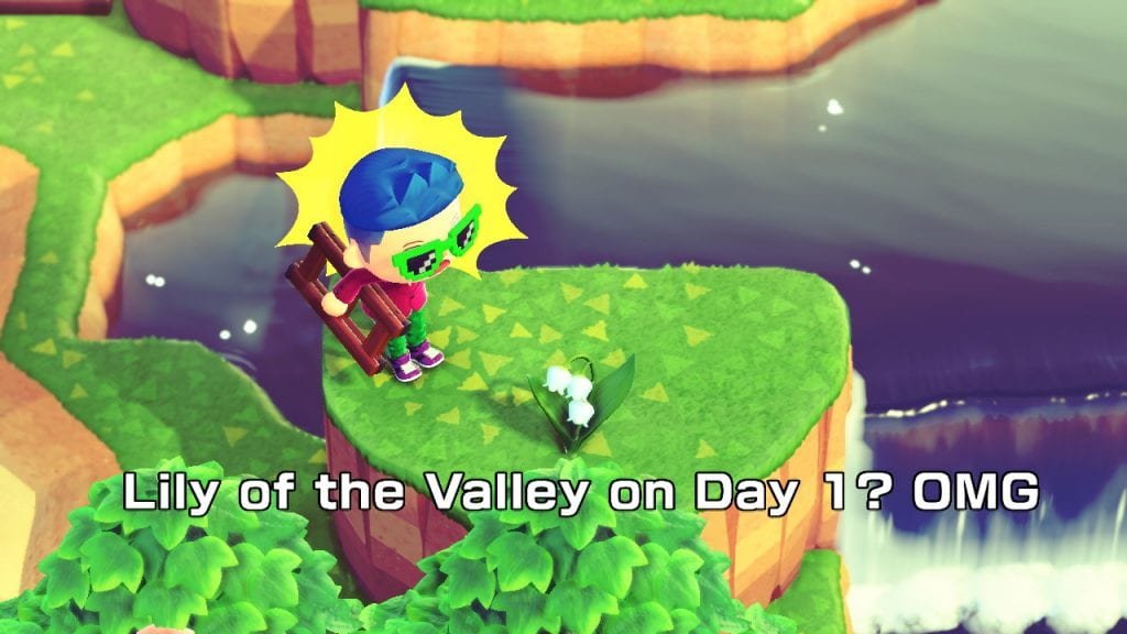 5 star island in ac getting lily of the valley on day 1 is cray cray - you're playing animal crossing wrong! (and so am i)