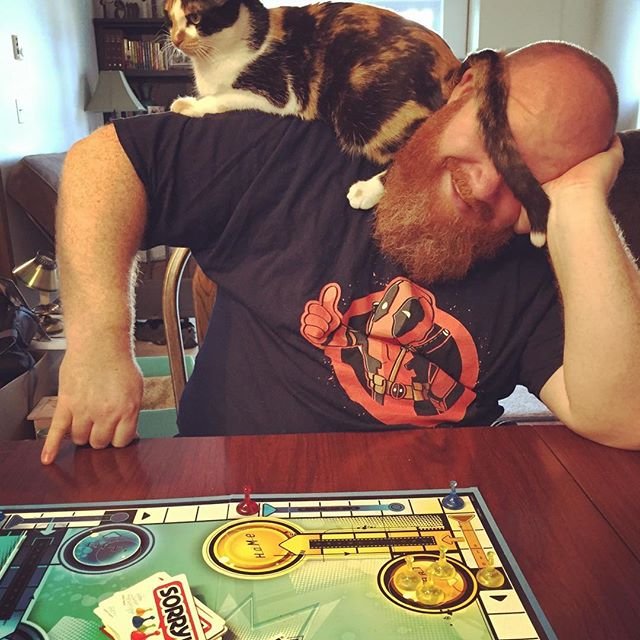 Playing sorry with a cat