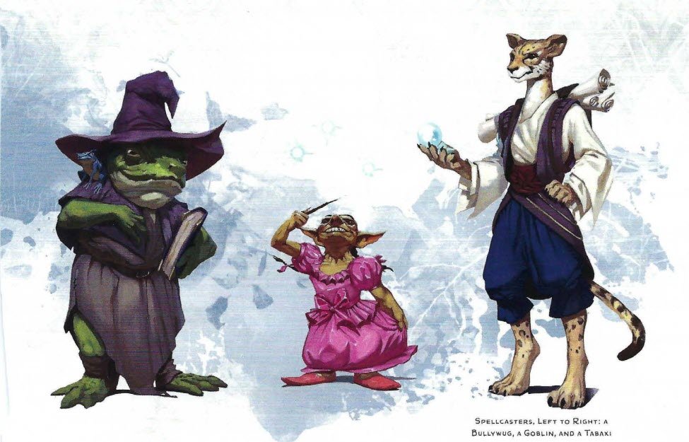 Spellcaster sidekicks: bullwug in a witch hat, goblin in a pretty pink party dress, and a tabaxi... Being a cat in pants, i guess