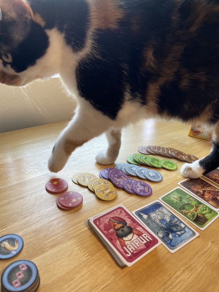 My cat lily - jaipur the card game for two