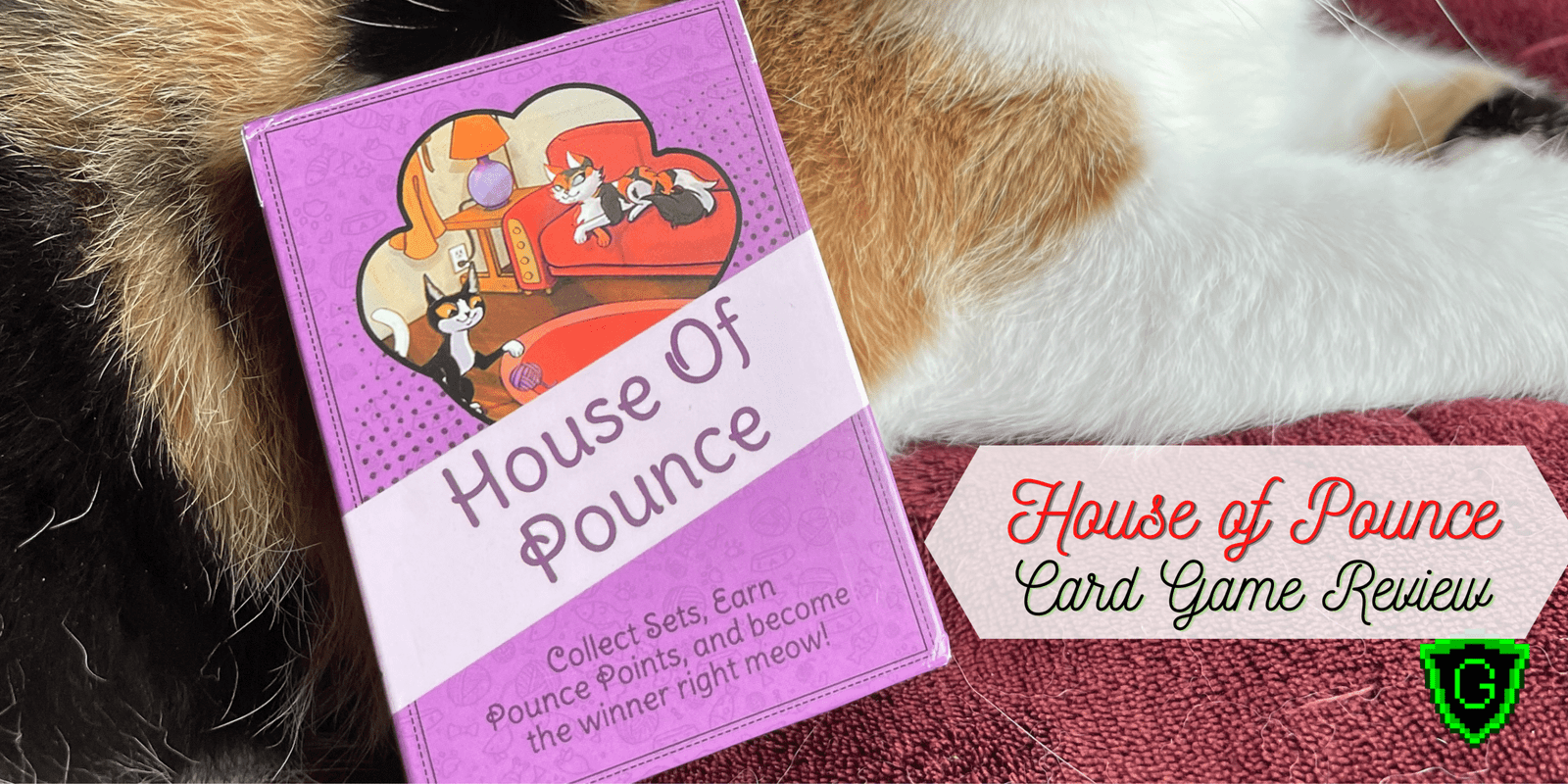 Header image for house of pounce review