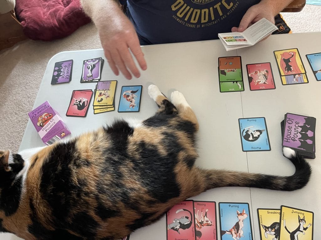 Lily takes up most of the table - house of pounce: card game review
