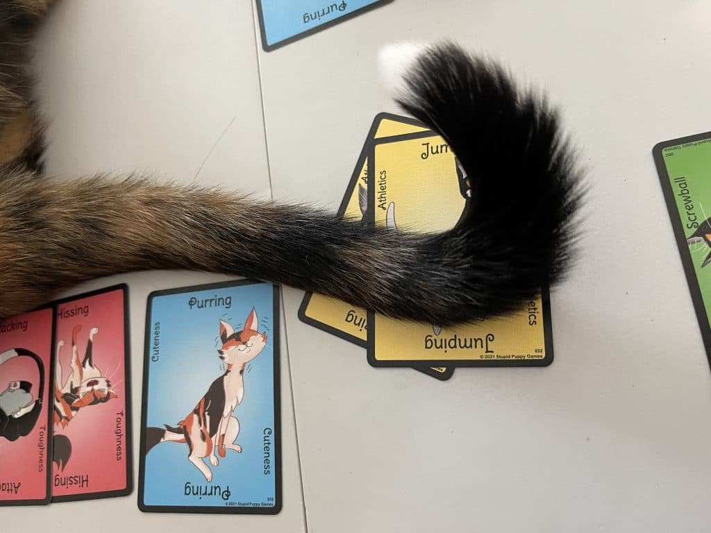 Lily's tail constantly threatened the cards