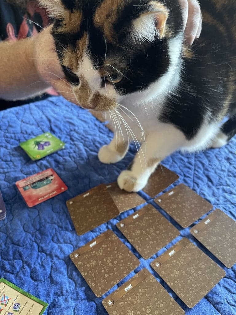 Lily cat helping with the game
