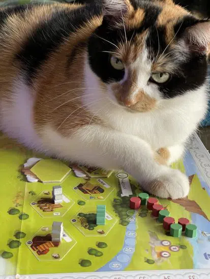 Lily approves of it
