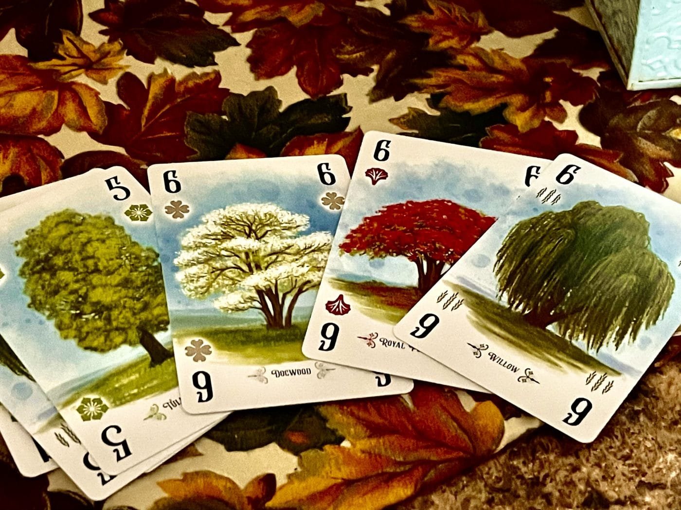 A few of the trees represented in Arboretum