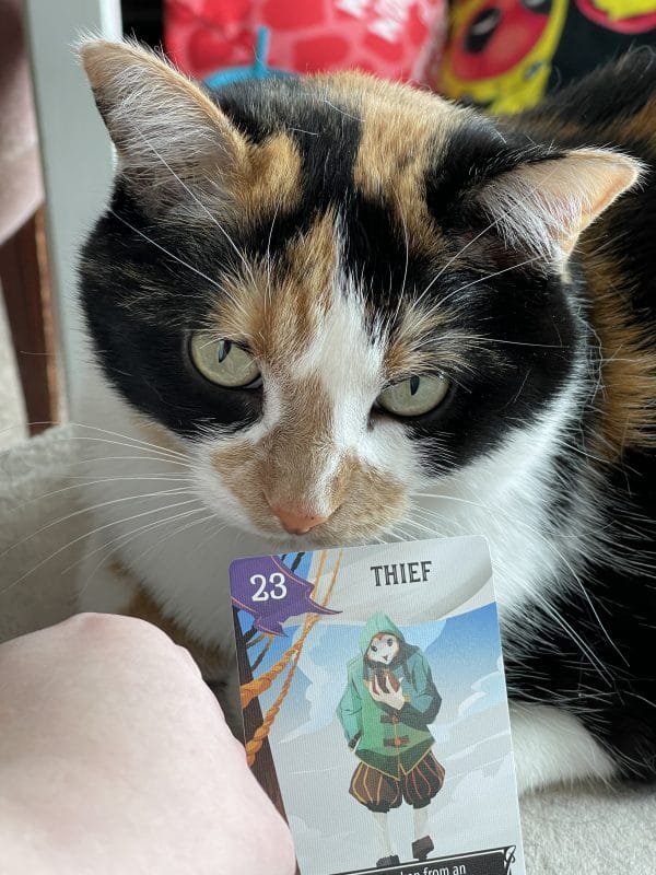 Lily and the thief card