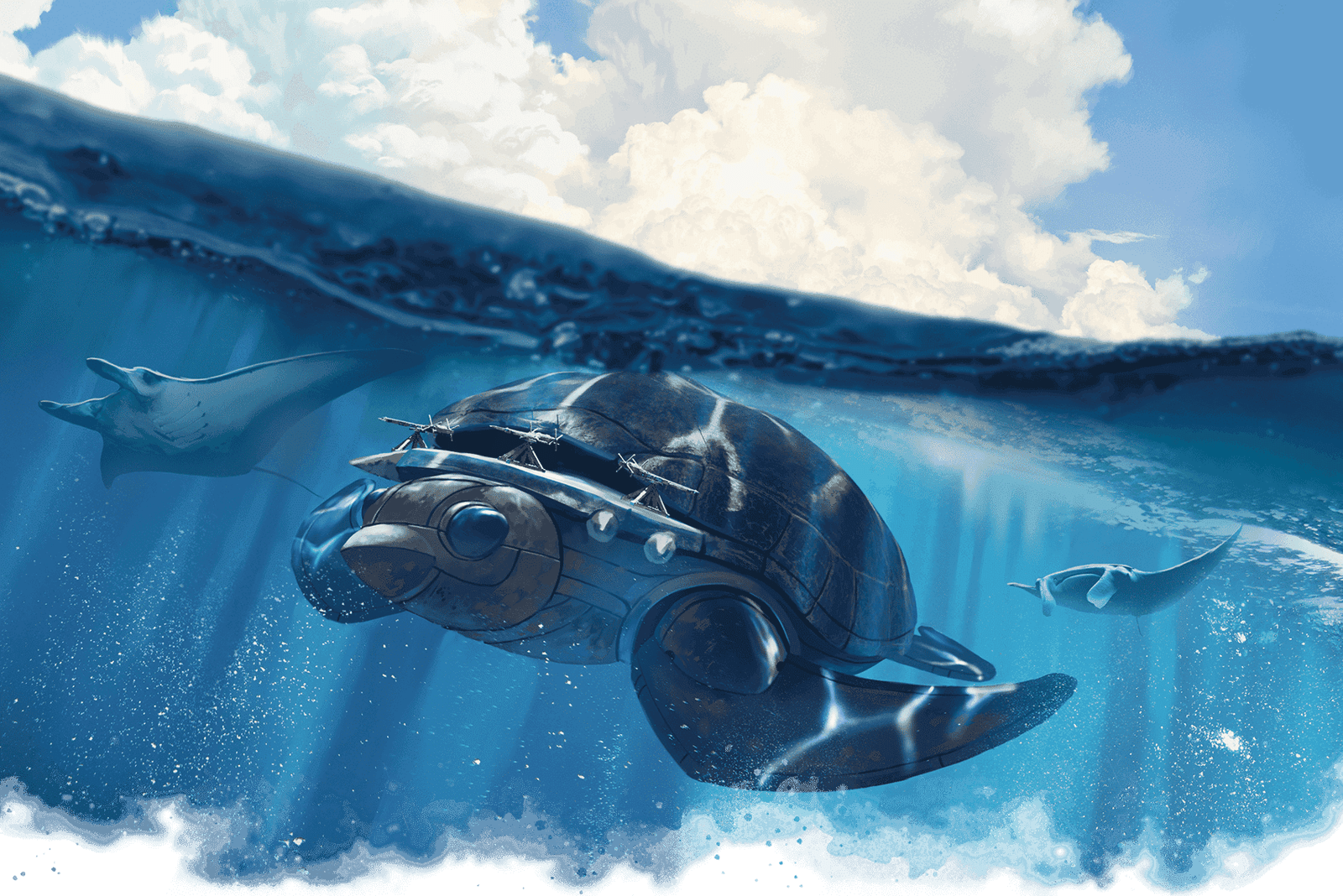 Turtle ship under water