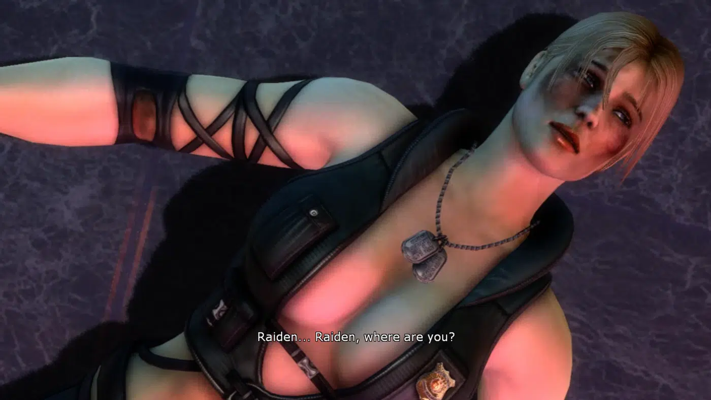 Everybody loves raiden.