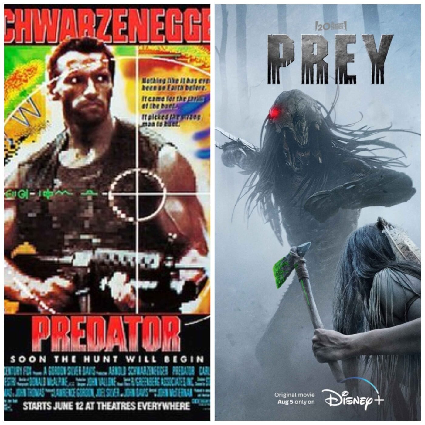 Two-panel image: left panel is the predator movie poster featuring arnold schwarzenegger; right panel is a disney+ promo for the movie prey with a masked creature and the disney+ logo.